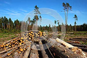 Logging