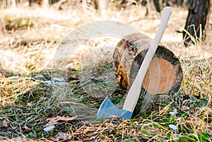 Logging: an ax with a long wooden handle stands near a fallen tree trunk