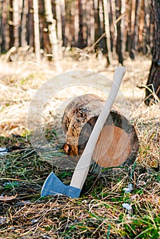 Logging: an ax stands near a fallen tree trunk.