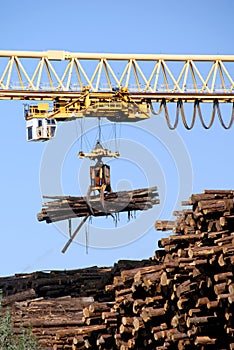 Logging Crane