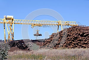 Logging Crane