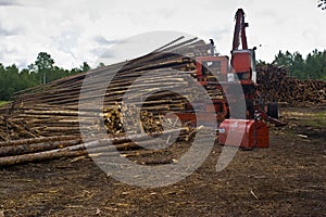 Logging with crane