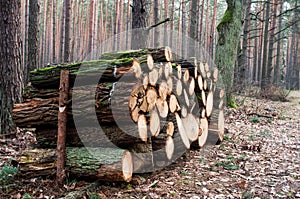 Logging