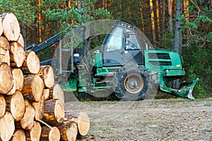 Logging equipment in the forest, loading logs for transportation. Harvesting and storage of wood in the forest. Transportation of