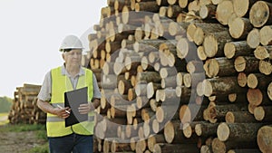 Logging foreman checks quality of sawn logs. Adult male engineer. Slow motion
