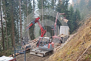 Logging industry in Austria