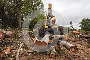 Logging Machine Front