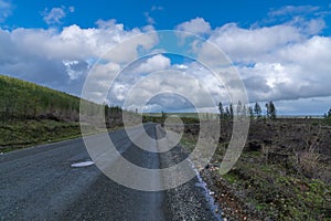 Logging Road On Mountain