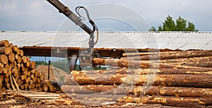 Logging, sawmill. Manipulator for loading wood. The loader of boards and logs works against the background of a stormy sky