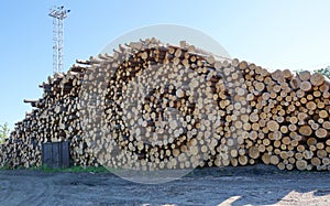 logging sending logs by rail pine logs raw materials for process