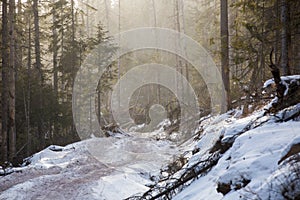 Logging site in the winter taiga. Timber road at the logging site