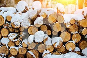 Logging stack in the forest during the winter