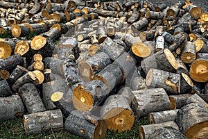 Logging and storage of firewood
