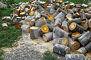 Logging and storage of firewood