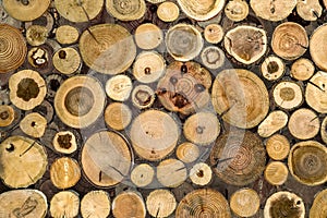 Logging and storage of firewood