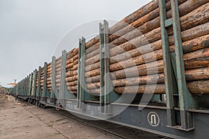 A logging train at the sawmill hauls stacked wooden logs and tree trunks. A train with felled trees. The train on the