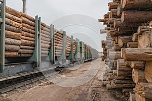 A logging train at the sawmill hauls stacked wooden logs and tree trunks. A train with felled trees. The train leaves