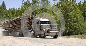 Logging truck