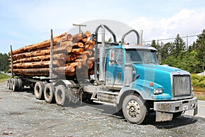 Logging truck