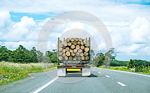 Logging truck driving on State Highway One in Northland, North I photo
