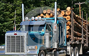Logging truck with full load.
