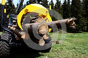 Logging Truck Loaded