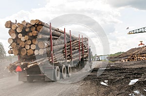 Logging truck logs at mill