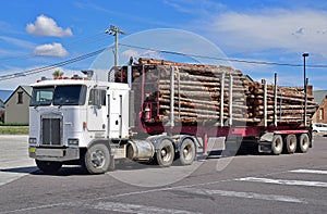 Logging Truck used for timber transport on normal highways and roads