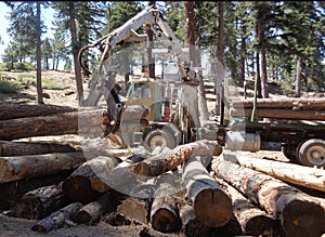 Logging Truck Using Lifter Tongs To Load