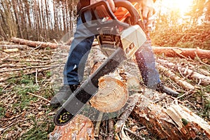 Logging, Worker in a protective suit with a chainsaw sawing wood. Cutting down trees, forest destruction. The concept of