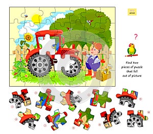 Logic game for children and adults. Find two pieces of puzzle that fell out of picture. Printable page for kids brain teaser book