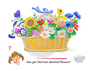 Logic puzzle for children and adults. Can you find two identical flowers? Page for kids brain teaser book. Task for attentiveness