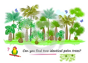 Logic puzzle for children and adults. Can you find two identical palm trees? Page for kids brain teaser book. Task for
