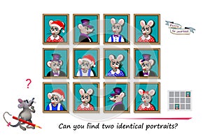 Logic puzzle for children and adults. Can you find two identical portraits? Page for kids brain teaser book. Task for