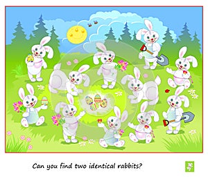 Logic puzzle for children and adults. Can you find two identical rabbits? Page for kids brain teaser book. Task for attentiveness
