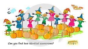 Logic puzzle for children and adults. Can you find two identical scarecrows? Page for kids brain teaser book. Task for