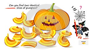 Logic puzzle for children and adults. Can you find two identical slices of pumpkin? Page for kids brain teaser book. Task for