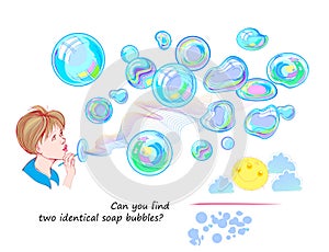 Logic puzzle for children and adults. Can you find two identical soap bubbles? Page for kids brain teaser book. Task for