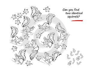 Logic puzzle for children and adults. Can you find two identical squirrels? Page for kids brain teaser book. Task for