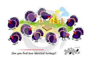 Logic puzzle for children and adults. Can you find two identical turkeys? Page for kids brain teaser book. Task for attentiveness