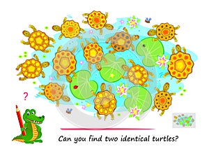 Logic puzzle for children and adults. Can you find two identical turtles? Page for kids brain teaser book. Task for attentiveness