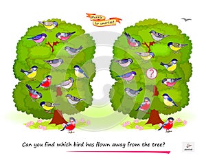Logic puzzle for children and adults. Can you find which bird has flown away from the tree? Educational game. Page for kids brain