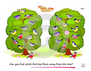 Logic puzzle for children and adults. Can you find which bird has flown away from the tree? Educational game. Page for kids brain photo