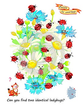 Logic puzzle game for children and adults. Can you find two identical ladybugs? Page for kids brain teaser book. Task for