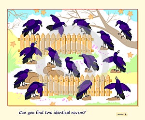 Logic puzzle game for children and adults. Can you find two identical ravens? Page for kids brain teaser book. Task for photo