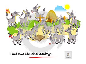 Logic puzzle game for children and adults. Find two identical donkeys. Memory exercises for seniors. Printable page for kids brain