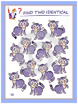 Logic puzzle game for children and adults. Find two identical kittens. Printable page for kids brain teaser book. Developing