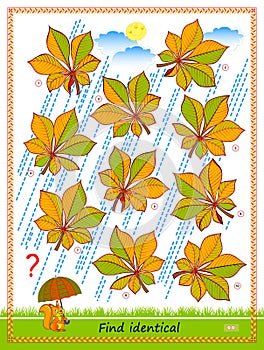 Logic puzzle game for children and adults. Find two identical leaves. Printable page for kids brain teaser book. IQ test. Flat