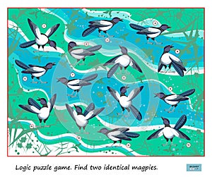 Logic puzzle game for children and adults. Find two identical magpies. Page for kids brain teaser book. Memory exercises for