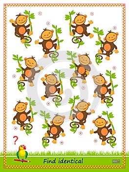 Logic puzzle game for children and adults. Find two identical monkeys. Printable page for kids brain teaser book. IQ test. Flat